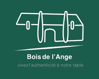 Le Bois de l'Ange, chambres et tables d'hôtes à Salignac-Eyvigues