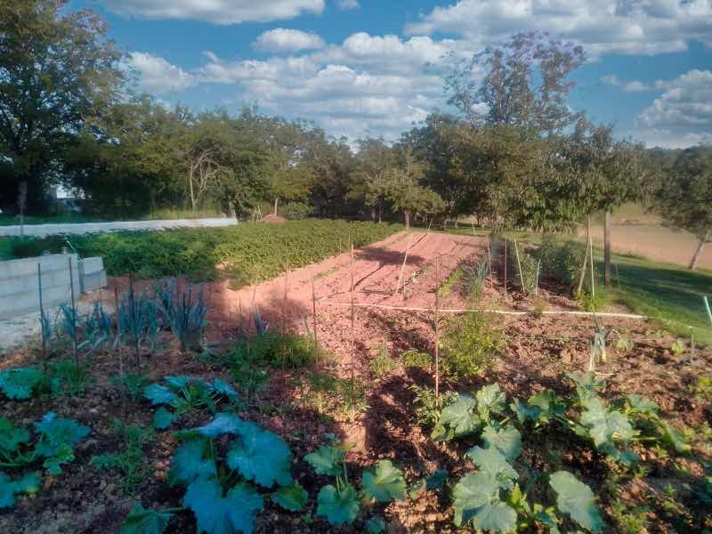 Le potager du Bois de l'Ange, table d'hôtes à Salignac-Eyvigues