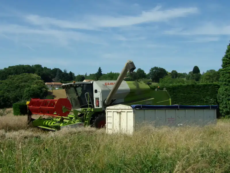 La Ferme du Bois de L'Ange