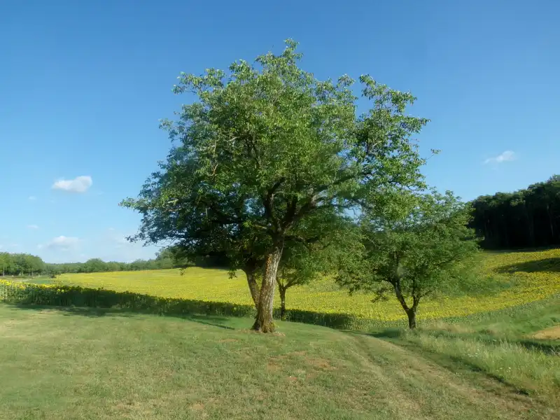 La Ferme dans son environnement