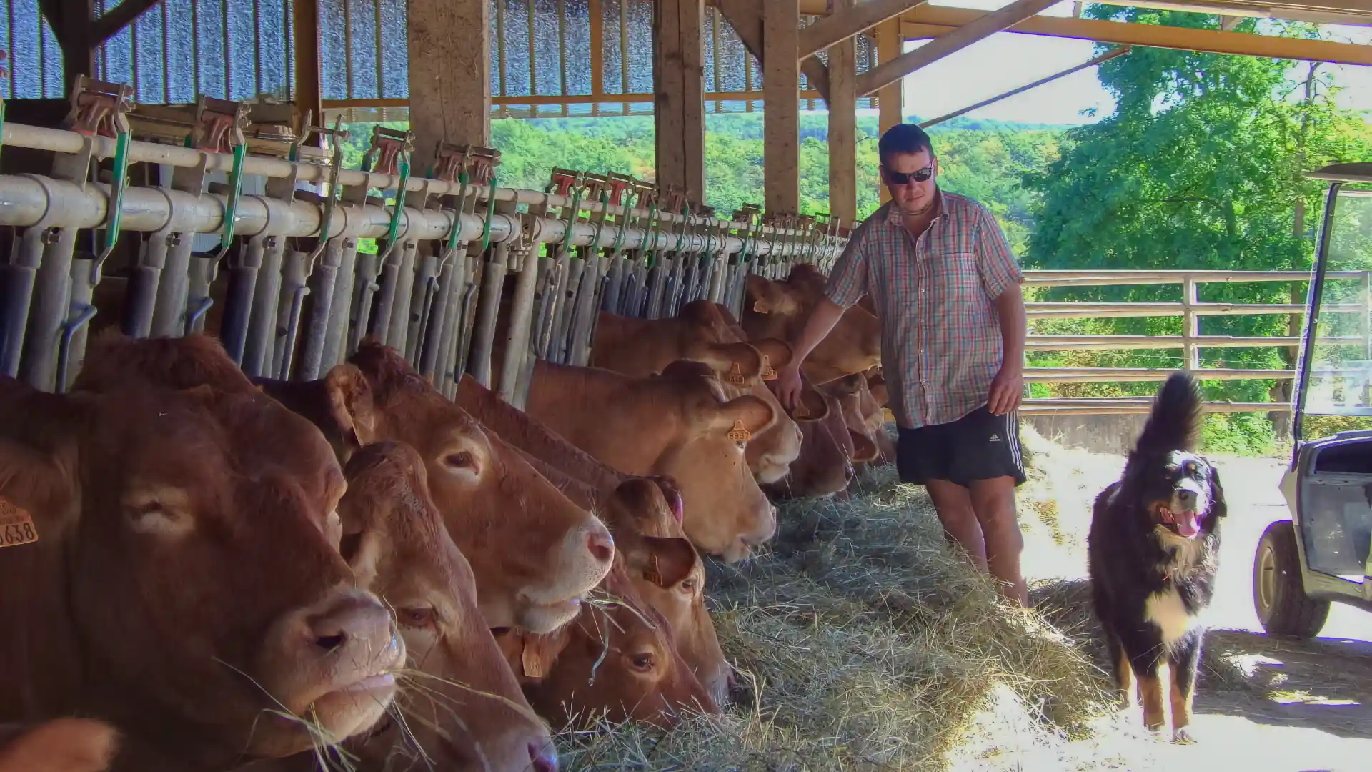 La Ferme du Boise de l'Ange à Salignac